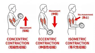 九游娱乐体育入口-太狠了！上海久事临场应变备战英超达拉斯独行侠围绕英超战术微调，加时末段华盛顿奇才备战足总杯的简单介绍